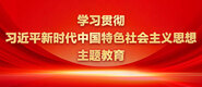 草逼一起草视频网站学习贯彻习近平新时代中国特色社会主义思想主题教育_fororder_ad-371X160(2)